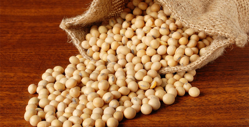 Soybeans